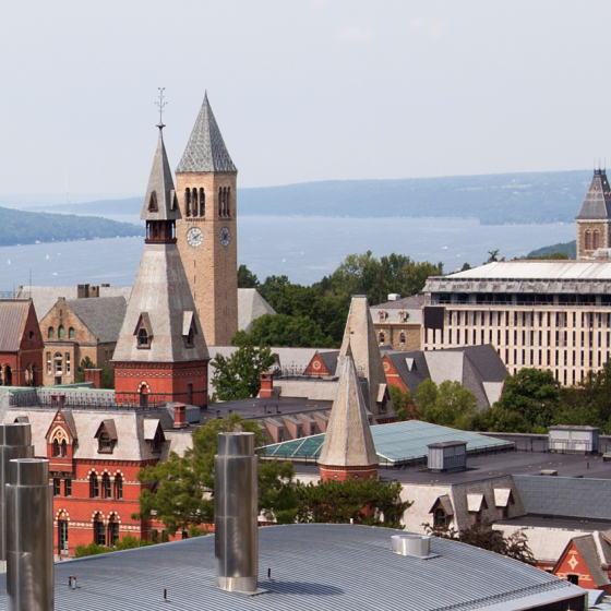 Cornell Thumbnail
